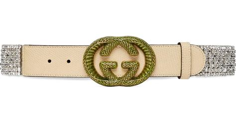 gucci lizard belt|gucci female belt.